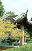 Туры в отель KING VANHO Hanghou Chaoshan