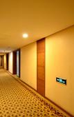 Туры в отель Wuhan Ziyang Lake Hotel
