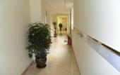 Туры в отель Langang Zhixing Hostel