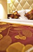 Туры в отель Jinke International Hotel (Chengdu Happy Valley)