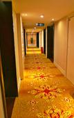 Туры в отель Jinke International Hotel (Chengdu Happy Valley)