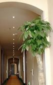 Туры в отель GreenTree Inn (Shanghai Lidahui Town)