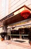 Туры в отель Cosy City Hotel (Chengdu South Railway Station Sichuan University Wangjiang Campus)