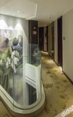 Туры в отель Cosy City Hotel (Chengdu South Railway Station Sichuan University Wangjiang Campus)