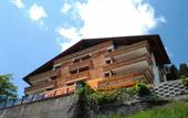 Туры в отель Le Grand Chalet