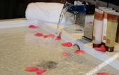 Туры в отель City Hotel