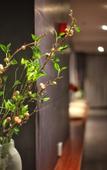 Туры в отель V-hotel Boutique Hotel