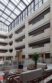Туры в отель Jiyuan International Hotel