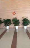 Туры в отель Xintiandi Business Hotel