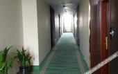 Туры в отель GreenTree Inn Hotel (Shanghai National Convention and Exhibition Center Jiayi Road Subway Station)