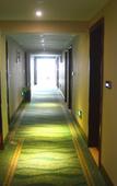 Туры в отель GreenTree Inn Hotel (Shanghai National Convention and Exhibition Center Jiayi Road Subway Station)