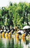 Туры в отель Tianci Hot Spring Resort