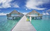 Туры в отель Angaga Island Resort & Spa