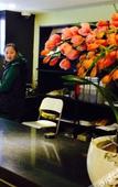 Туры в отель Shanghai Mentang Hotel (Shanghai Chuansha Huaxia East Road Subway Station)
