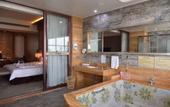 Туры в отель Fengxiang hot spring Hotel