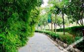 Туры в отель Fengxiang hot spring Hotel