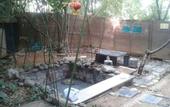 Туры в отель Fengxiang hot spring Hotel