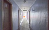 Туры в отель Hansi Hotel