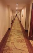 Туры в отель GreenTree Inn Shanghai Songjiang Xinqiao Jiuxin Road Express Hotel
