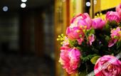 Туры в отель Poliya Hotel (Foshan Guanyao Plaza)