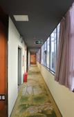 Туры в отель TOWO Shangpin Hotel (Shenzhen Baoan Airport Pinglushan Station)