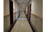 Туры в отель Jinshunda Hotel (New DNA Store, Kuiqi Road Subway Station, Foshan)