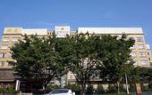 Туры в отель Harbour Hotel