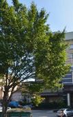 Туры в отель Harbour Hotel