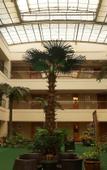 Туры в отель Harbour Hotel