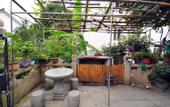 Туры в отель Hangzhou Yinxi Tea House (West Lake Lingyin)