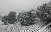 Туры в отель Hangzhou Yinxi Tea House (West Lake Lingyin)