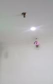 Туры в отель Haorui Business Hotel, Zhuhai