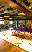 Туры в отель Dinosaur Resort