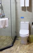 Туры в отель Hangting Hotel (Shenzhen International Airport T3)