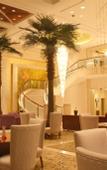 Туры в отель Jinse Nandu International Hotel