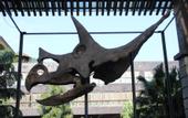 Туры в отель Tianci Huatang Forest Hot Spring Resort Hotel (Chongqing Lushan Branch)