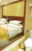 Туры в отель Vienna Hotel (Nanning Changhu Road Dongge Metro Station)