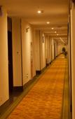 Туры в отель GreenTree Inn Jiangsu Wuxi Dongting Leather City Express Hotel