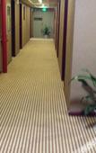 Туры в отель Langrong Business Hostel