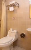 Туры в отель 99 Inn Chengdu Fuqin West Road