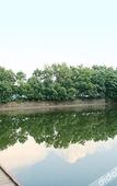 Туры в отель Tianmu Lake Bamboo Garden hotel
