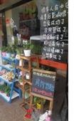 Туры в отель 99inn Selected Hotel (Shanghai Yingaolu University of Finance and Economics Subway Station)