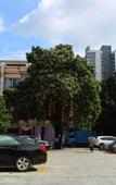 Туры в отель Hubin Bubugao Hotel
