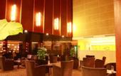 Туры в отель Greentree Eastern Hotel (Zhongshan West Road, Xiuzhou District, Jiaxing)