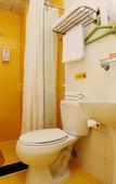 Туры в отель Homeinn Hotel (Nanjing Fuzimiao Daming Road)