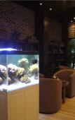 Туры в отель Grunion Business Hotel