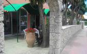 Туры в отель Angela Corfu Hotel & Apartments