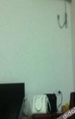 Туры в отель Puqing Business Hotel