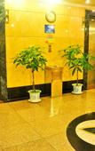 Туры в отель Guangzhou Huidong Holiday Hotel