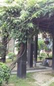 Туры в отель WASSIM HOTELS